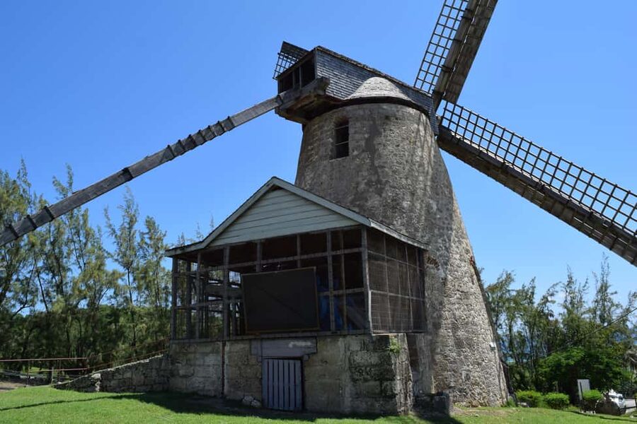 Monkey Feeding & Historic Sugar Plantation & Rum Distillery - Should you book it?