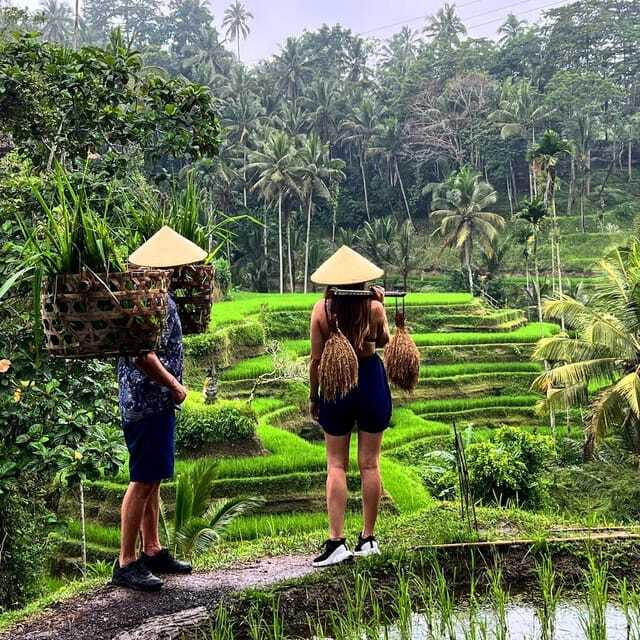 Monkey Forest, Kanto Lampo, Waterfall, Temple & Rice Terrace - Who will enjoy this route most