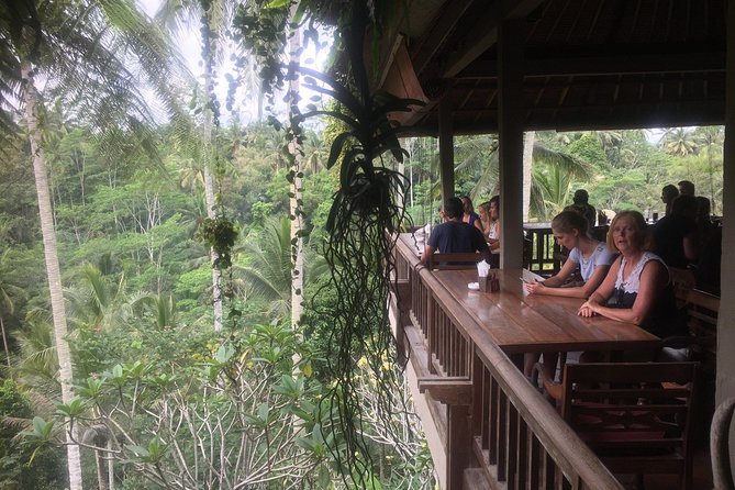 Monkey Forest, Ubud, Waterfall and Rice Terrace - Why a private Ubud day works well