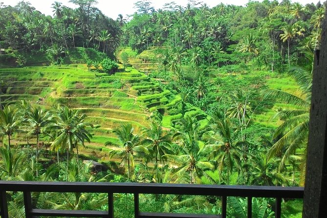 Monkey Forest, Ubud, Waterfall and Rice Terrace - Ubud Art Market and the practical side of shopping