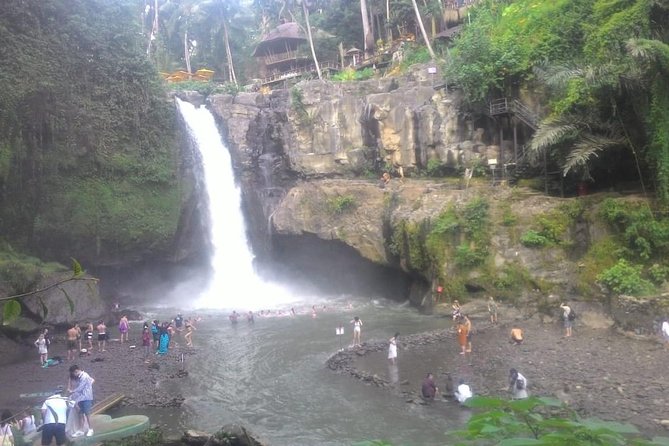 Monkey Forest, Ubud, Waterfall and Rice Terrace - Tegallalang Rice Terrace and the subak system
