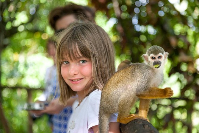 Monkeyland and Plantation Safari from La Romana - What is included, and what you still need to plan
