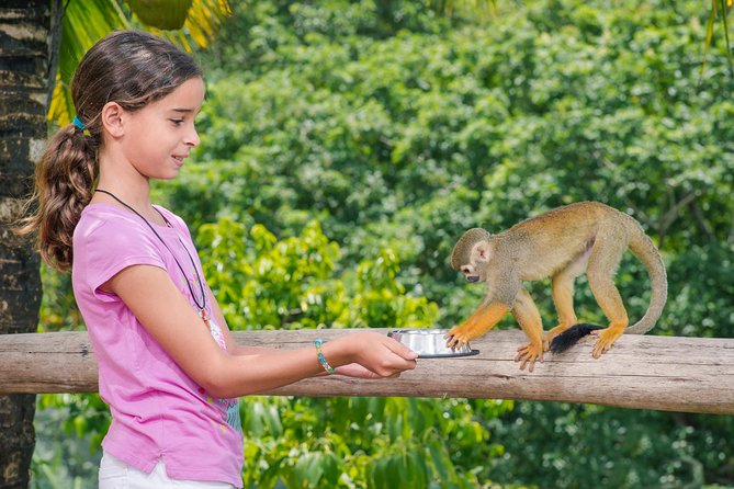 Monkeyland and Plantation Safari from La Romana - Booking, cancellation, and timing advice