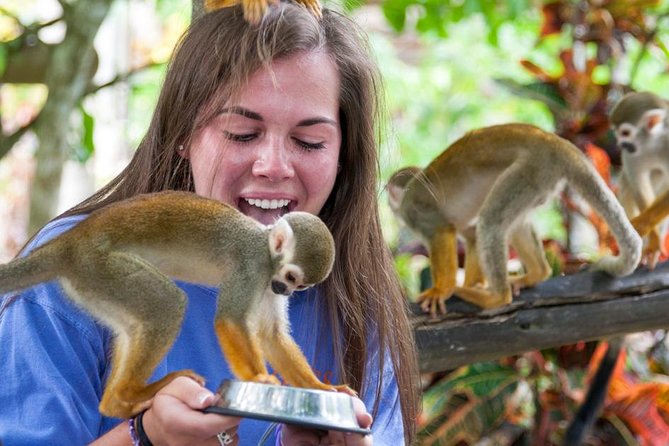 Monkeyland and Plantation Safari from La Romana - Seeing the countryside from an open-air safari truck