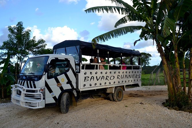 Monkeyland and Plantation Safari Tour from Punta Cana - Getting photos when monkeys move fast