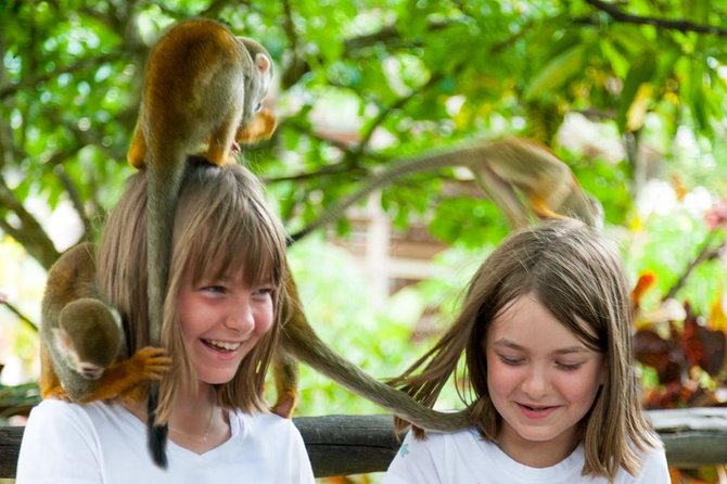 Monkeyland and Plantation Safari Tour from Punta Cana - What the $80 price includes