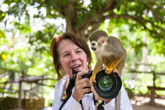 Monkeyland and Plantation Safari Tour from Punta Cana - Should you book Monkeyland from Punta Cana?