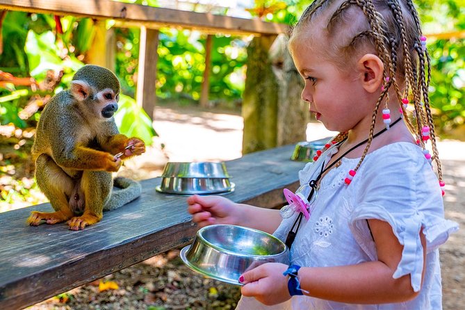 Monkeyland & Plantation Safari Full Day from Juan Dolio - Key points to know before booking