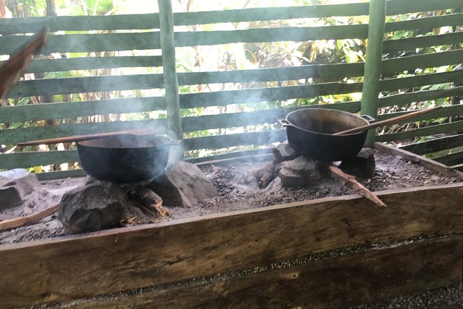 Monkeyland & Plantation Safari Full Day from Juan Dolio - Who will get the most from this outing