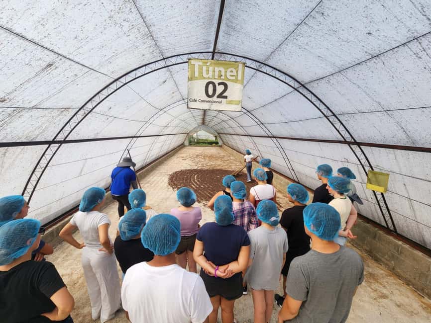Monte Alto Factory Coffee Tour: Jarabacoa Experience - Why Café Monte Alto makes sense in Jarabacoa
