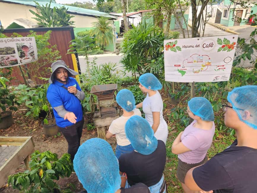 Monte Alto Factory Coffee Tour: Jarabacoa Experience - Seeing the factory turn beans into coffee