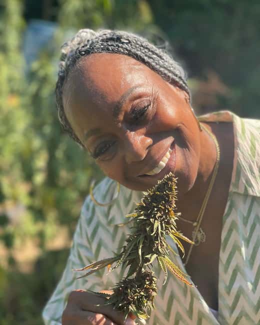 Montego Bay: Cannabis Farm, Bamboo Rafting, & Foot Massage - The value of $186 per person