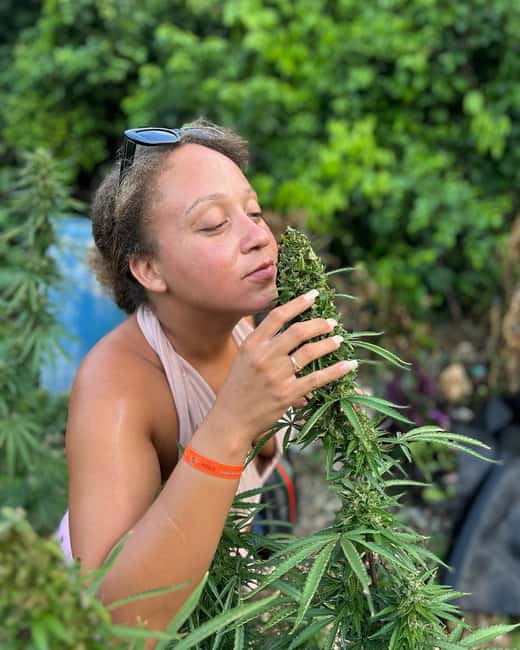 Montego Bay: Marijuana Farm and Bird Sanctuary Tour - Key points to know before you book