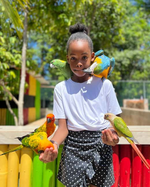Montego Bay: Marijuana Farm and Bird Sanctuary Tour - Should you book this Montego Bay tour?