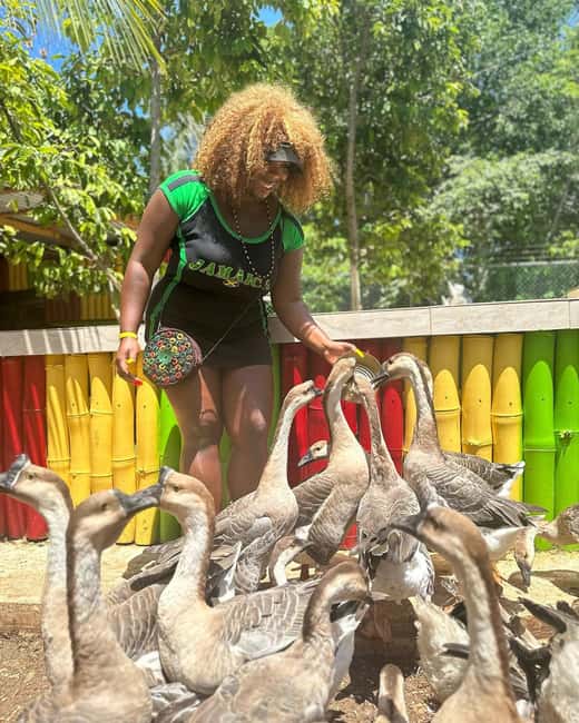 Montego Bay: Marijuana Farm and Bird Sanctuary Tour - Who will get the most from this outing