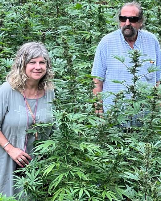 Montego Bay: Marijuana Farm Private Tour with Transportation - Key points to know before booking