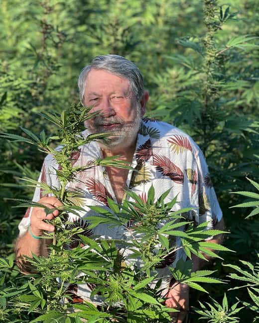 Montego Bay: Marijuana Farm Private Tour with Transportation - Seeing plants from seedling to harvest