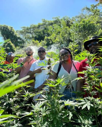 Marijuana Farm Private Tour with Transportation