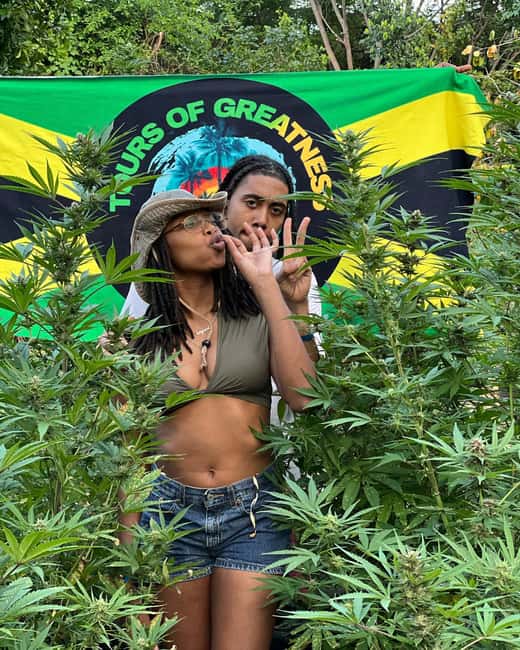 Montego Bay Marijuana Farm Tour - A short farm visit with a very Jamaican subject