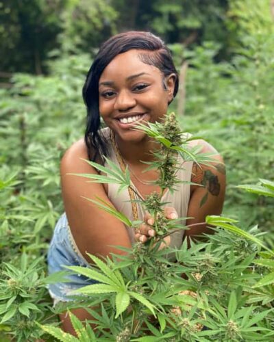 Montego Bay Marijuana Farm Tour
