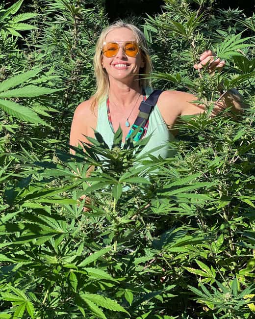 Montego Bay Marijuana Farm Tour - Transport deserves careful attention