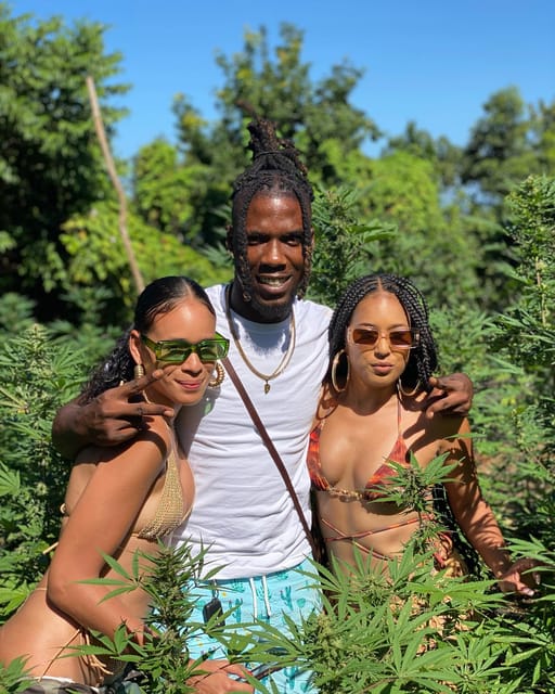 Montego Bay Marijuana Farm Tour - What to bring and what not to expect