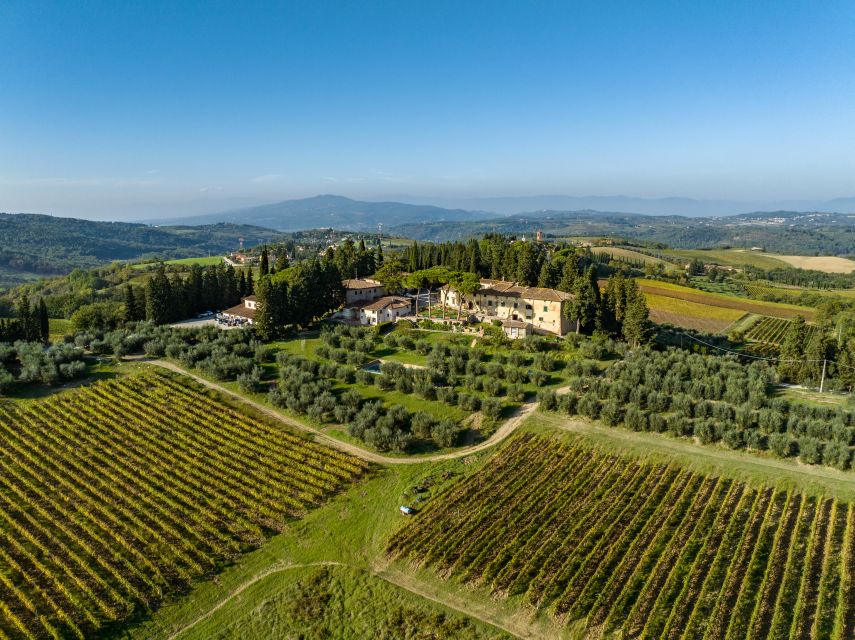 Montespertoli: Poggio Capponi Farm Chianti Wine Tour - Inside the historic cellar