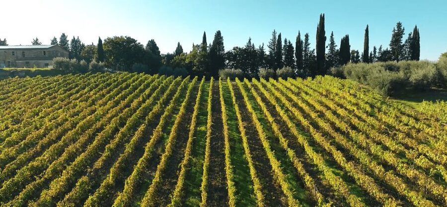 Montespertoli: Poggio Capponi Farm Chianti Wine Tour - Five wines, from Chardonnay to Vin Santo