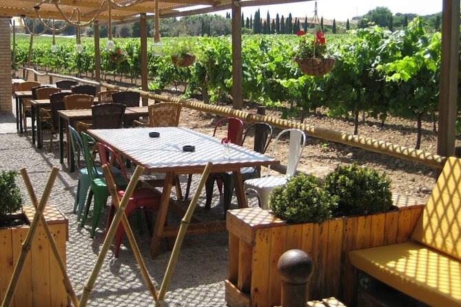 Montserrat & Winery Visit Tour with Traditional Farmhouse Lunch - Why this day trip works so well from Barcelona
