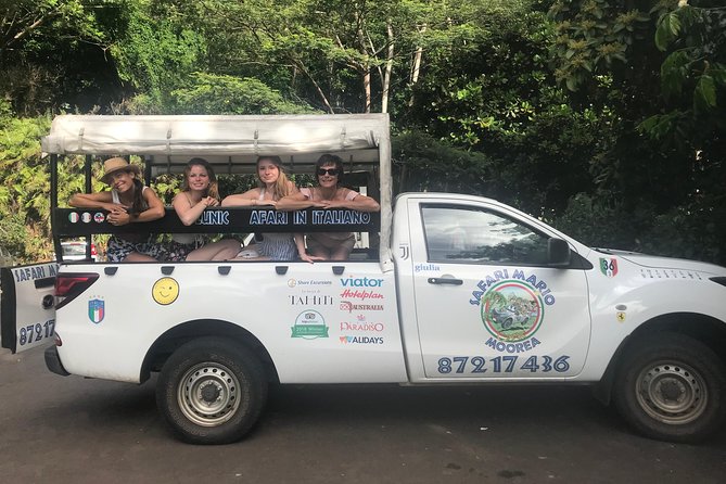 Moorea 4WD Tour Inc. Belvedere, Pineapple Farm, Magic Mountain... - Pineapple fields show the working side of the island