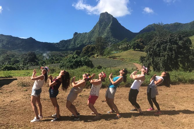 Moorea 4WD Tour Inc. Belvedere, Pineapple Farm, Magic Mountain... - The guide can make or break the experience