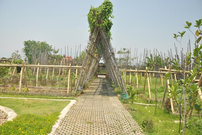 Morning Cooking Class in Organic Farm with Local Market Tour - Who will enjoy this Chiang Mai cooking class