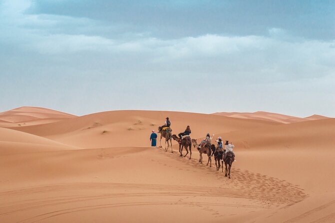 Morning Desert Safari From Abu Dhabi -Camel Ride,Sand Boarding,Camel Farm Visit - Camel riding after the fast sections