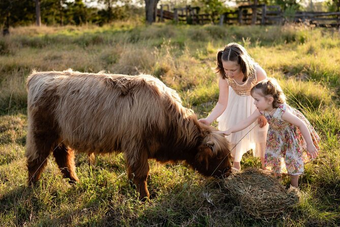 Morning Farm Experience near Gympie & Noosa - Key points to know before you book