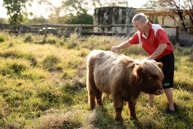 Morning Farm Experience near Gympie & Noosa - What the $63.83 price includes