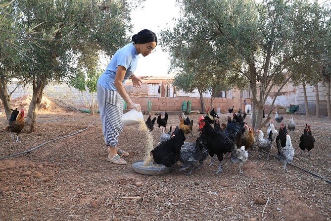 Moroccan Cooking Class and Eco-Farm Visit - Full day - Sharing lunch the Moroccan way