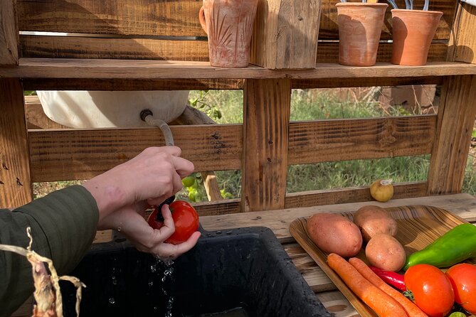 Moroccan Cooking Class and Eco-Farm Visit - Full day - Three hours with Moroccan tagine