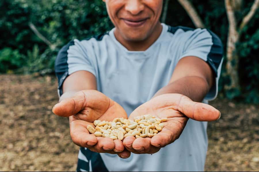 Most complete COFFEE TOUR at local family farm - The 30 to 40 minute ride from Guatapé