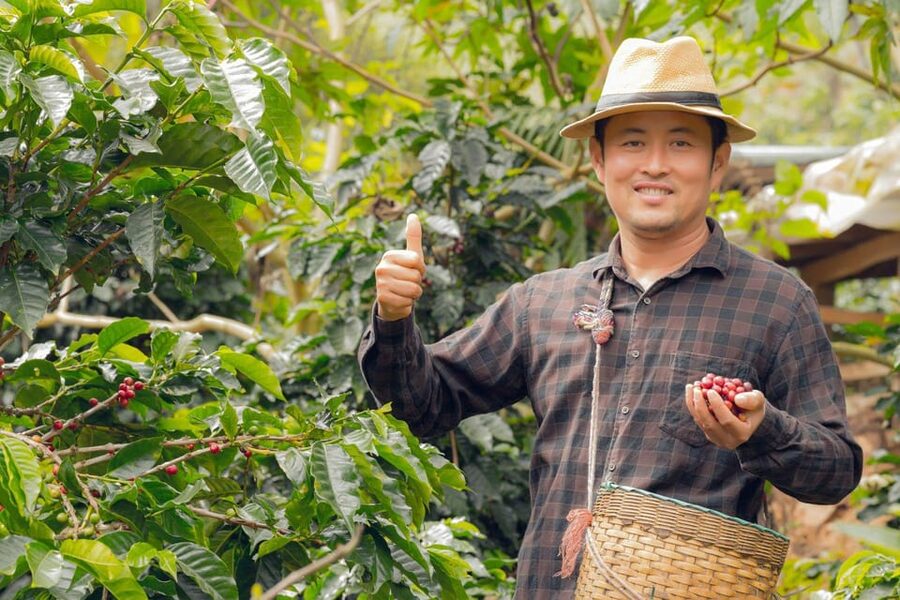Most complete COFFEE TOUR at local family farm - Practical details before you book