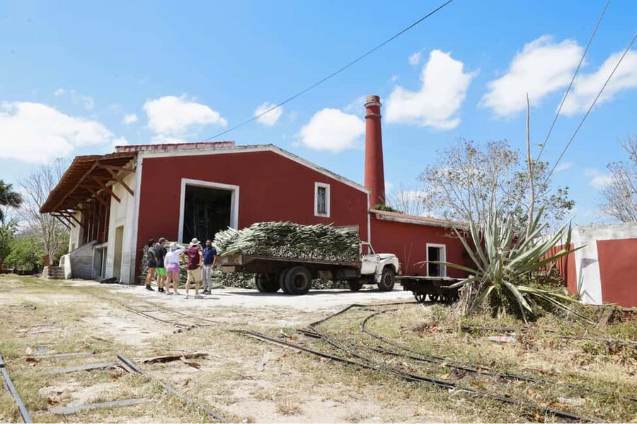 Motul, Hacienda, Xcambo, Pink Salt Mine & Progreso Day Trip - Who will enjoy this schedule most