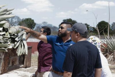 Motul, Hacienda, Xcambo, Pink Salt Mine & Progreso Day Trip