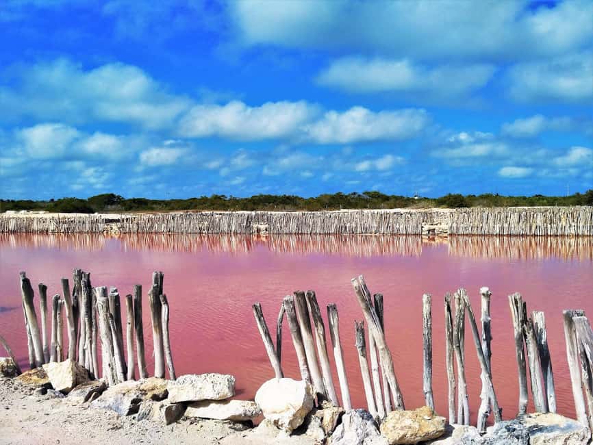 Motul, Hacienda, Xcambo, Pink Salt Mine & Progreso Day Trip - Progreso gives you the longest free period