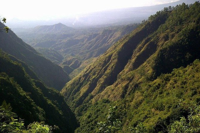 Mount Batur Sunrise Trekking and Rice Terrace Adventure - Tegalalang Rice Terrace after the volcano
