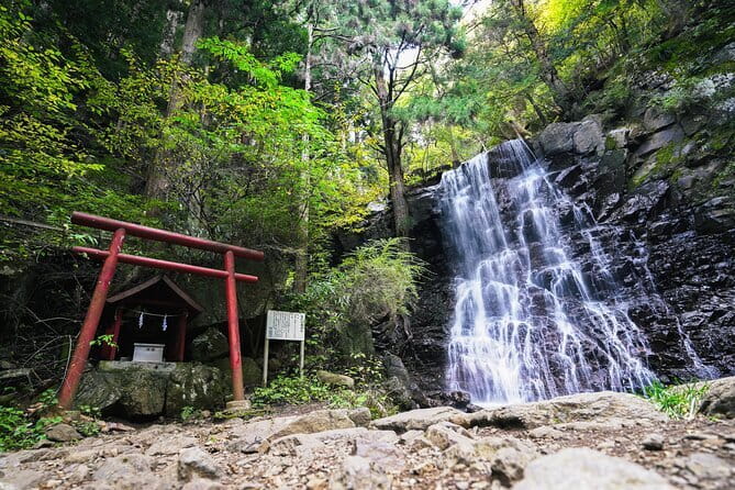 Mt. Fuji Private Chartered Tour with Nature and Wasabi Farm - What the private format changes