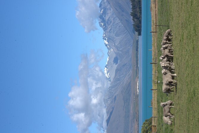 Mt. Hay Farm Experience Genuine Country Farming(Carbon Positive) - What the one-hour visit feels like