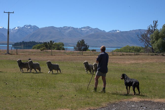 Mt. Hay Farm Experience Genuine Country Farming(Carbon Positive) - Group size, access, and weather