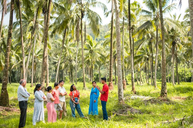 Mulgao Folk Village & Coconut Farming Experience - Make It Happen - Why Mulgao offers a different side of Goa