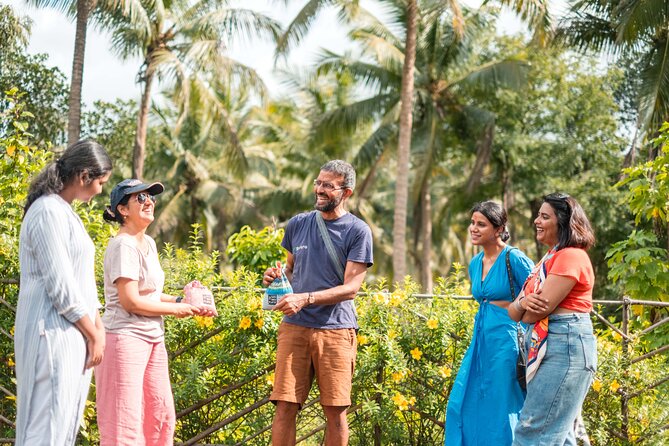 Mulgao Folk Village & Coconut Farming Experience - Make It Happen - Coconut farming at Mulgão Verde