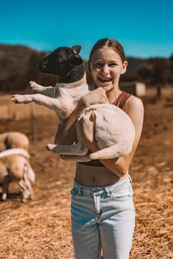 Mutchilba: Farm Animal Feeding - How the 90-Minute Visit Works