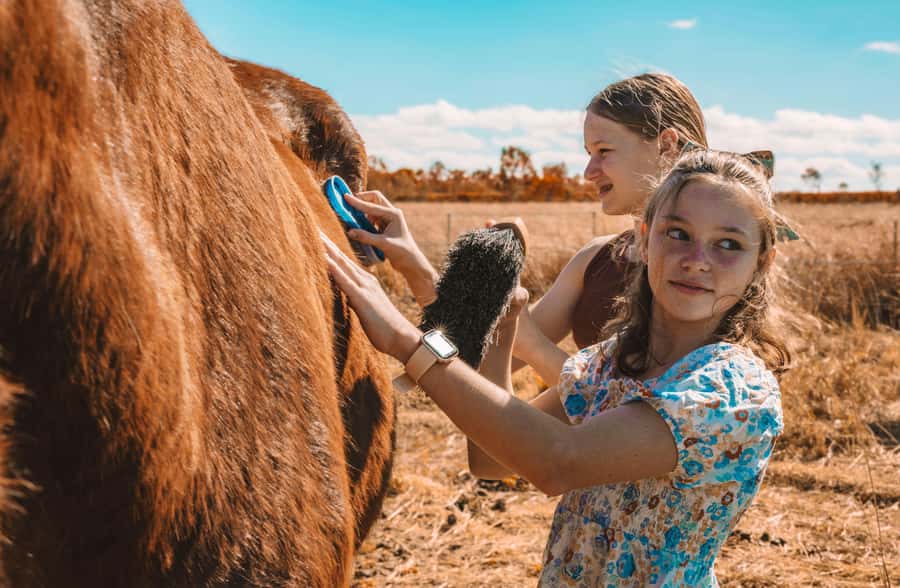 Mutchilba: Farm Animal Feeding - Good for Little Kids and Big Kids